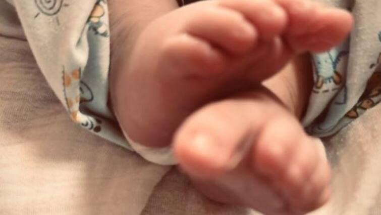 Richa Chadha Ali Fazal Share First Photo Of Baby Girl: Our Baby Girl Continues To Keep Us Busy Richa Chadha, Ali Fazal Share First Photo Of Baby Girl: 'She Continues To Keep Us Busy'