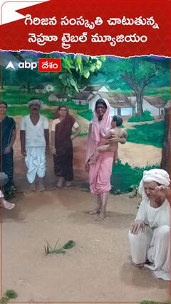 గిరిజన సంస్కృతి చాటుతున్న నెహ్రూ ట్రైబల్ మ్యూజియం..