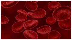 જાણો રક્તદાન કોણે અને ક્યારે ન કરવું જોઈએ, નહીં તો સમસ્યા થઈ શકે છે