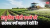 क्या होती है प्राकृतिक खेती, सरकार क्यों दे रही इस पर जोर, जानें