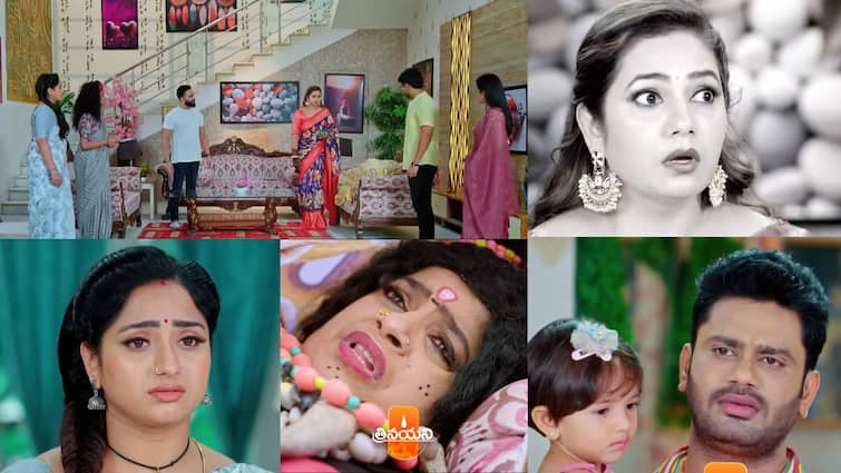 trinayani serial today july 20th episode written update in telugu Trinayani Serial Today July 20th: 'త్రినయని' సీరియల్: వల్లభలా నటించిన గంటలమ్మ.. ఆత్మ వెళ్లిపోతుందని హెచ్చరిక, తిలోత్తమ మీద నయనికి డౌట్!