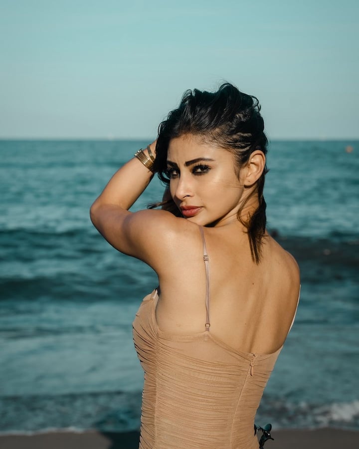 Mouni Roy has risen the temperature in sun-kissed pictures