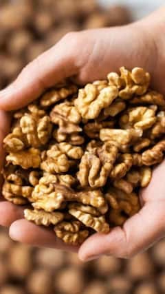 ਖਾਲੀ ਪੇਟ ਅਖਰੋਟ ਖਾਣ ਨਾਲ ਸਿਹਤ ਨੂੰ ਮਿਲਣ ਵਾਲੇ ਅਨੋਖੇ ਫਾਇਦੇ, ਬ੍ਰੇਨ ਹੈਲਥ 'ਚ ਸੁਧਾਰ ਸਣੇ ਬਲੱਡ ਪ੍ਰੈਸ਼ਰ ਰਹਿੰਦਾ ਸਹੀ