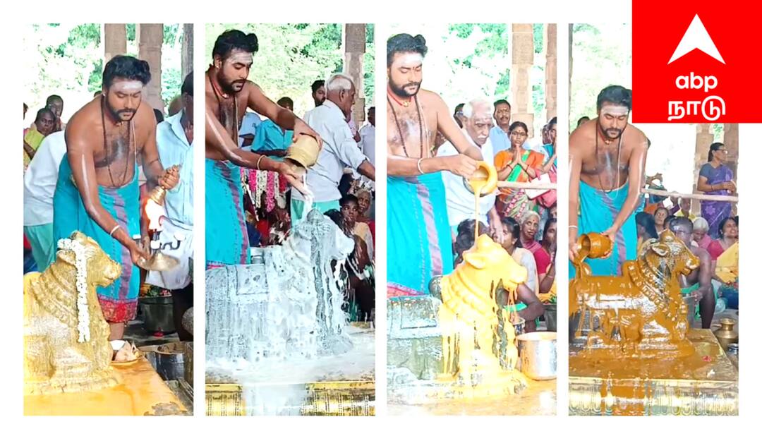 Abp Kovil ula Aadi month piradhosam special worship at Sirkazhi sattainathar Temple - TNN ABP கோயில் உலா: சீர்காழி சட்டைநாதர் கோயிலில் ஆடி பிரதோஷ சிறப்பு வழிபாடு