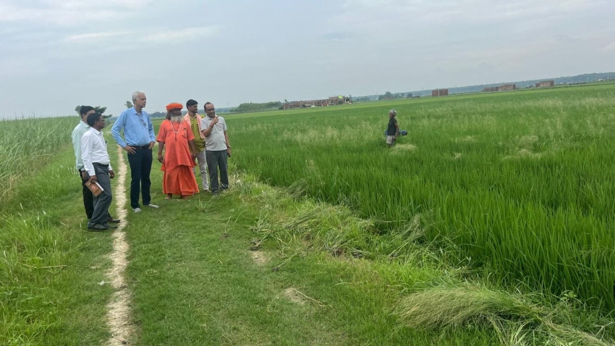 गोरखपुर: धान और गेहूं की खेती में घटेगी लागत, बढ़ेगा उत्पादन, इरी ने गोरखपुर में शुरू की परियोजना