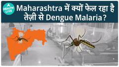 Maharashtra Reports Surge in Dengue, Chikungunya, and Malaria Cases in 2024; Know The Cause