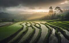 ਮੀਂਹ ਨਾਲ ਇਨ੍ਹਾਂ ਫਸਲਾਂ ਨੂੰ ਹੁੰਦਾ ਹੈ ਫਾਇਦਾ ਪਰ ਇਨ੍ਹਾਂ ਦਾ ਹੁੰਦਾ ਭਾਰੀ ਨੁਕਸਾਨ