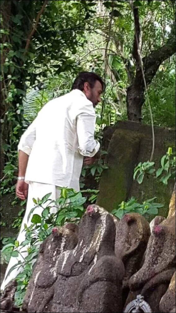 शूटिंग के दौरान आखिर इस एक्टर पर क्यों छोड़ दी गई थी मधुमक्खियां