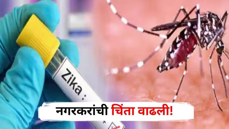 Zika Virus patients found at Sangamner in Ahmednagar district After Pune Maharashtra Marathi News Ahmednagar Zika Virus : नगरकरांची चिंता वाढली! पुण्यापाठोपाठ संगमनेरमध्ये आढळले झिकाचे रुग्ण