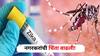 Ahmednagar Zika Virus : नगरकरांची चिंता वाढली! पुण्यापाठोपाठ संगमनेरमध्ये आढळले झिकाचे रुग्ण
