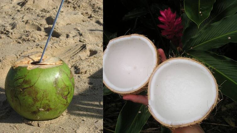 How Sipping Coconut Water Can Boost Your Weight Loss Efforts Weight Loss: உடல் எடையை குறைக்க இளநீர், தேங்காய் தண்ணீர் உதவுமா? நிபுணர்களின் அட்வைஸ்!