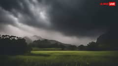 बारिश से इन फसलों को होता है फायदा तो इनको होता है भारी नुकसान