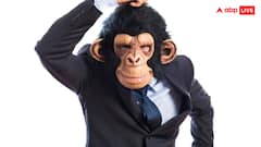 पढ़ें एक से बढ़कर एक खतरनाक मजेदार जोक्स, गारंटी है हो जाओगे लोटपोट