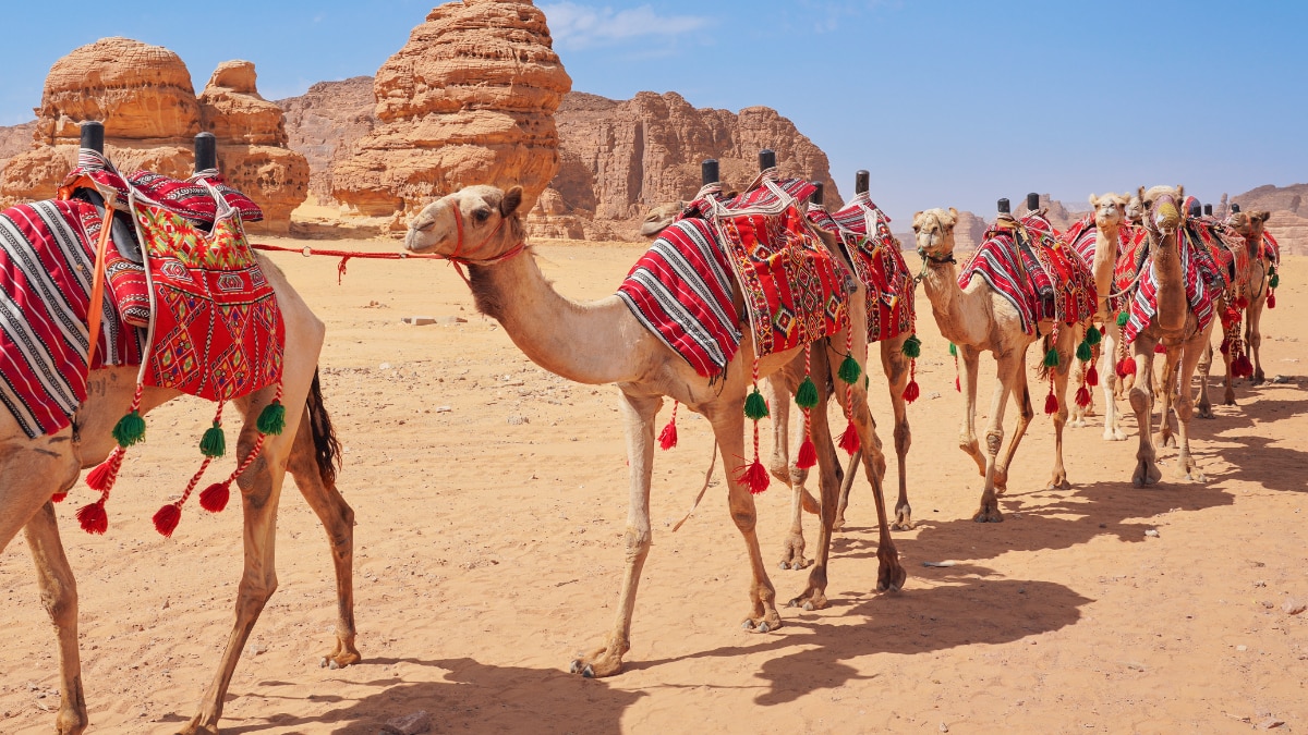 Travel Saudi Arabia: Places To Visit And Things To Do On A 5-Day Vacation