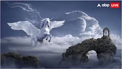 सपने में ऐसी जगह कैसे चले जाते हैं जहां कभी गए ही नहीं? जान लीजिए कारण