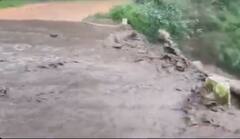 ओडिशा के मलकानगिरी में भारी बारिश से तबाही, पुल के ऊपर से बह रहा 5 फीट पानी, तस्वीरों में देखिए भयावह नजारा