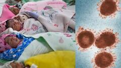 Chandipura Virus: குழந்தகளை தாக்கும் சண்டிபுரா வைரஸ் - 16 பேர் உயிரிழப்பு, 50 பேர் பாதிப்பு - குஜராத் அரசு எச்சரிக்கை