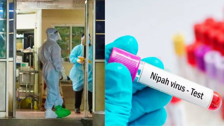 Kerala boy dies day after testing positive for Nipah virus Nipah Virus: కేరళలో మరోసారి నిఫా వైరస్ కలకలం, 14 ఏళ్ల బాలుడు గుండెపోటుతో మృతి - ప్రభుత్వం అలెర్ట్