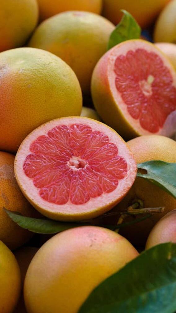 బత్తాయి పండ్లు తింటే జలుబు చేస్తుందా?