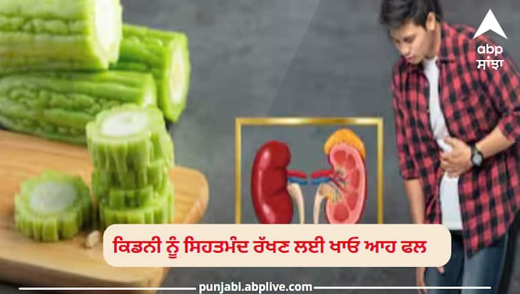 these foods add in your diet which keep your kidney health healthy Kidney: ਖੁਰਾਕ 'ਚ ਸ਼ਾਮਲ ਕਰੋ ਆਹ 5 ਚੀਜ਼ਾਂ, ਕਿਡਨੀ ਖਰਾਬ ਹੋਣ ਦਾ ਖਤਰਾ ਅੱਧੇ ਨਾਲੋਂ ਵੀ ਹੋ ਜਾਵੇਗਾ ਘੱਟ