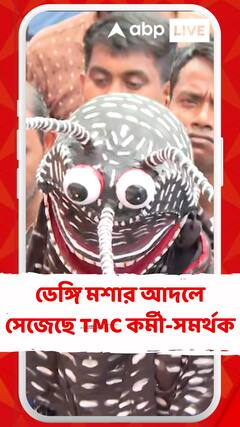 ডেঙ্গি মশার আদলে সেজেছে তৃণমূল কর্মী-সমর্থক