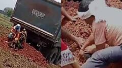 मध्य प्रदेश के रीवा में 2 महिलाओं को जिंदा गाड़ने की कोशिश, जमीनी विवाद से जुड़ा है मामला