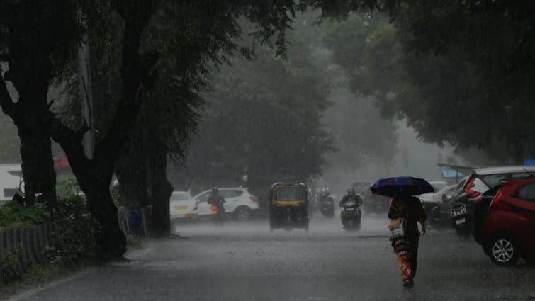 Rain will break in this district of Gujarat today, Meteorological department has given red alert Gujarat Rain Forecast: ગુજરાતના આ જિલ્લામાં આજે તૂટી પડશે વરસાદ, હવામાન વિભાગે આપ્યું  રેડ એલર્ટ