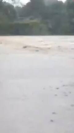 Odisha Rains: मालकानगिरी में भारी बारिश के बाद में बाढ़ जैसी स्थिति | ABP NEWS SHORTS