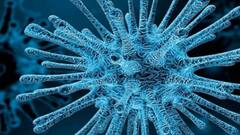 Chandipura Virus: குஜராத்தில் உயிரைப் பறிக்கும் சண்டிபுரா வைரஸ்! அண்டை மாநிலத்தில் முன்னெச்சரிக்கை தீவிரம்!