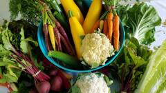 Health Tips: நோய் எதிர்ப்பு சக்தியை அதிகரிக்க சாப்பிட வேண்டிய உணவுகள் லிஸ்ட் இதோ!