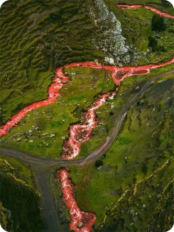 ये नदी अपने पानी को खून जैसा लाल कैसे कर लेती है