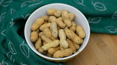 Peanuts Benefits: রাতে নাকি দিনে, ভরাপেট নাকি খালি... কখন চিনাবাদাম খেলে উপকার পাবেন বেশি?