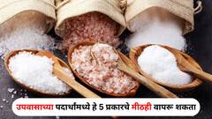 Shravan 2024 : श्रावणात फक्त सैंधव मीठच नाही, तर उपवासाच्या पदार्थांमध्ये हे 5 प्रकारचे मीठही वापरू शकता