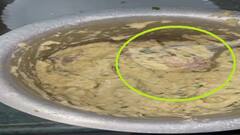 Ahmedabad News: અમદાવાદમાં વધુ એક વખત ગ્રાહકને થયો ખરાબ અનુભવ, દાળવડાના ખીરામાંથી નીકળી ગરોળી