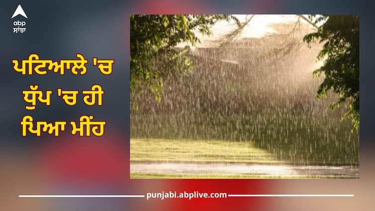 Patiala News: the rain fell in the sun, more and more humus Patiala News: ਪਟਿਆਲੇ 'ਚ ਧੁੱਪ 'ਚ ਹੀ ਪਿਆ ਮੀਂਹ, ਵੱਧੀ ਹੋਰ ਹੁੰਮਸ, IMD ਵੱਲੋਂ ਕੀਤੀ ਗਈ ਇਹ ਭਵਿੱਖਬਾਣੀ