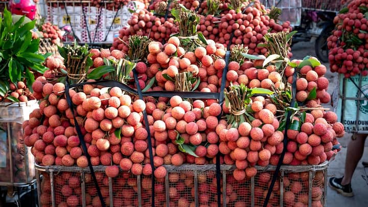 அதிக அளவு ஆன்டிஆக்ஸிடன்ட்கள் இதில் காணப்படுகின்றன. அவை நம் உடலில் இருந்து ஆபத்தான ஃப்ரீ ரேடிக்கல்களை அகற்ற உதவுகின்றன. இந்த ஆன்டிஆக்ஸிடன்ட்கள் இதய ஆரோக்கியத்தை அதிகரிக்கவும் நீரிழிவு மற்றும் மன அழுத்தத்தை குறைக்கவும் உதவுகின்றன