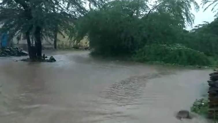 Gujarat Monsoon 2024 rain in Rajula Jafrabad division of Amreli farmers happy Amreli Rain: અમરેલીના રાજુલા-જાફરાબાદ પંથકમાં વરસાદ, ધરતીપુત્રો ખુશખુશાલ