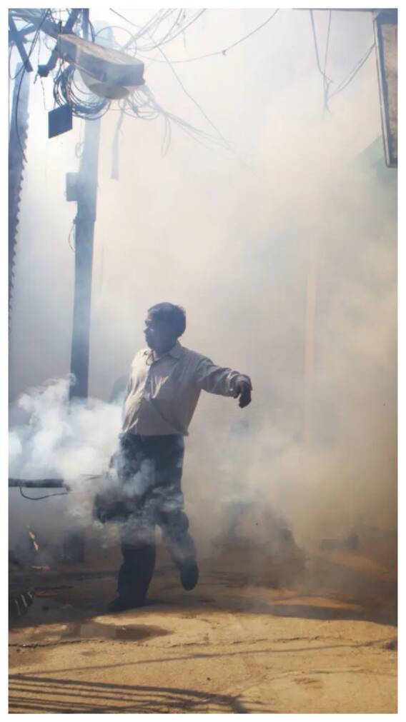 किन चीजों से दूर रहते हैं मच्छर?