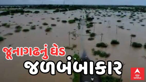 Junagadh Rain | ધોધમાર વરસાદે ધમરોળ્યું ઘેડ પંથકને, જુઓ આકાશી નજારો Watch Video