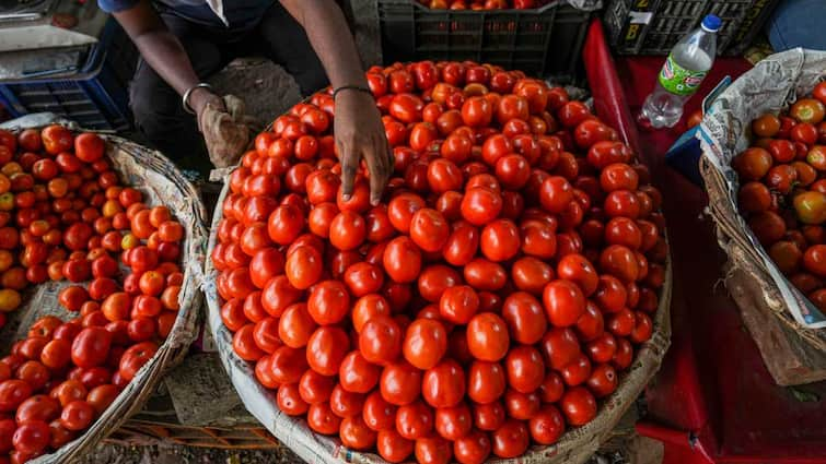 Tomato Prices Touch Rs 100 Per Kg In Retail Markets In Delhi As Monsoon Disrupts Supply Tomato Prices Touch Rs 100 Per Kg In Retail Markets In Delhi As Monsoon Disrupts Supply