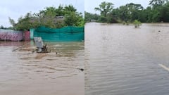 बस्तर में भारी बारिश और बाढ़ के बीच इंद्रावती नदी ने बढ़ाई टेंशन, 40 गांवों से जिला मुख्यालय का टूटा संपर्क