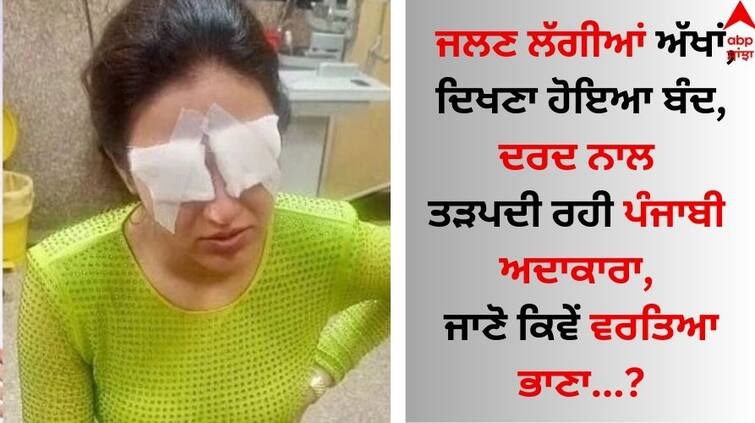 Punjabi Actress Jasmin Bhasin suffers from eye injury due lenses know details Punjabi Actress: ਜਲਣ ਲੱਗੀਆਂ ਅੱਖਾਂ, ਦਿਖਣਾ ਹੋਇਆ ਬੰਦ, ਦਰਦ ਨਾਲ ਤੜਪਦੀ ਰਹੀ ਪੰਜਾਬੀ ਅਦਾਕਾਰਾ, ਜਾਣੋ ਕਿਵੇਂ ਵਰਤਿਆ ਭਾਣਾ