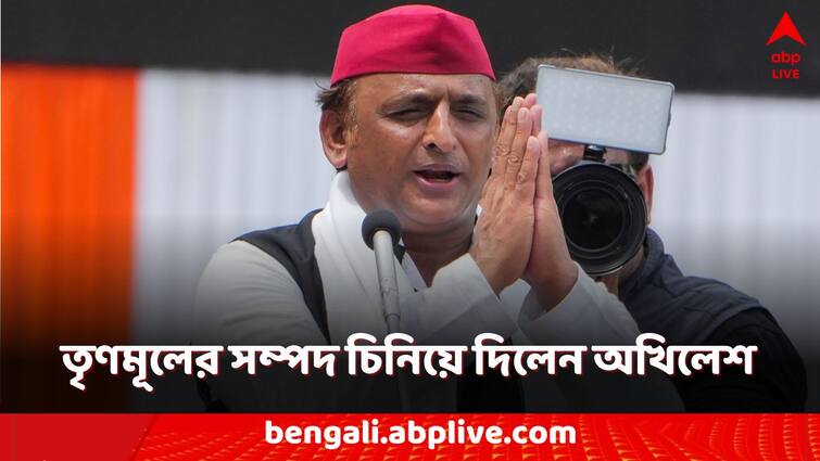 21 July TMC Shahid Diwas Akhilesh Yadav praises Mamata Banerjee and TMC Worker assures his support 21 July: মমতার আসল সম্পদ কী? বলে দিলেন অখিলেশ, সঙ্গে দিলেন বড়সড় 'আশ্বাস'