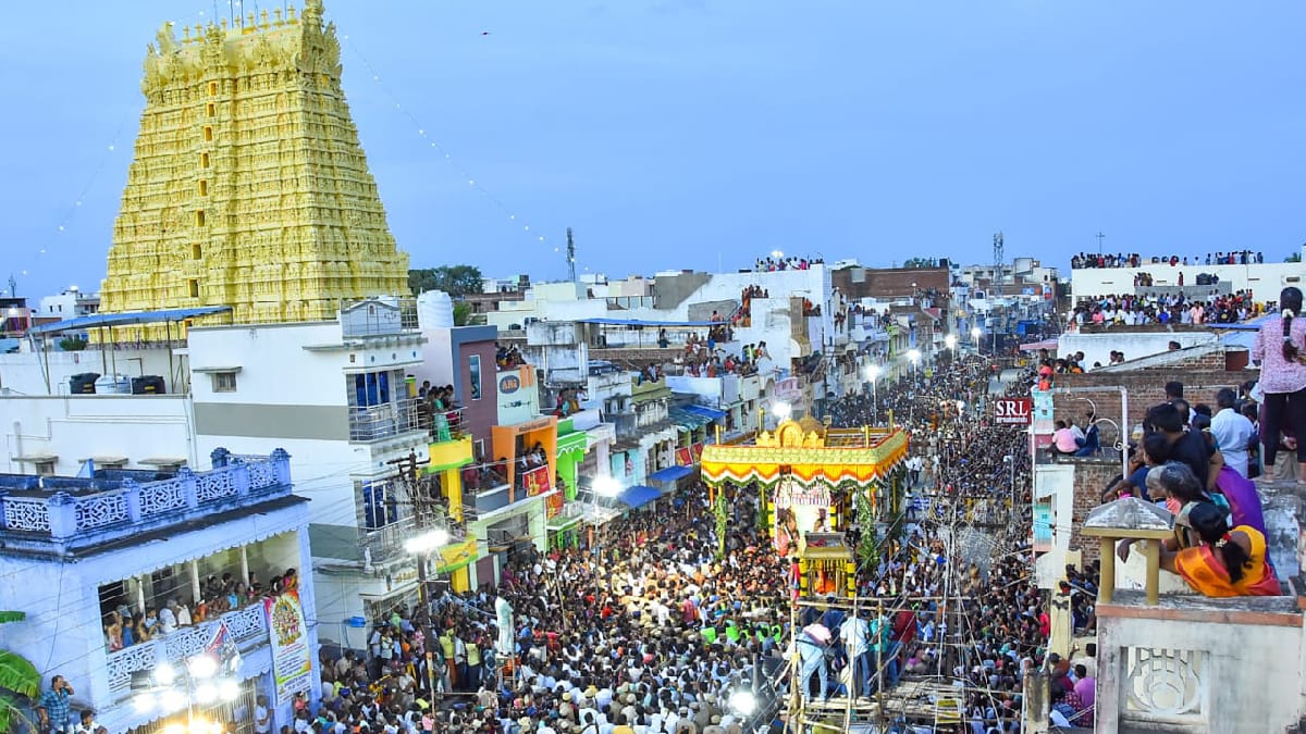 ஆடித்தபசு - அரியும் நானே சிவனும் நானே.. காட்சியளித்த சுவாமி சங்கரநாராயணர்