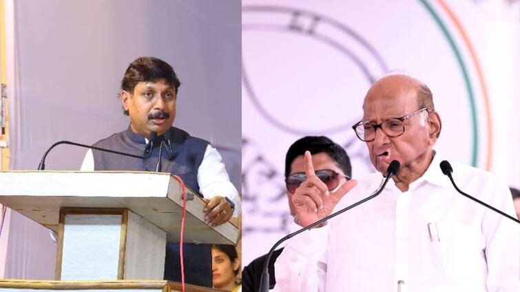 Dhairyasheel Mohite Patil From now on there will be no wrestling in Mann Taluk, Sharad Pawar the master of Vasts will give a suitable candidate Satara News Maharashtra Politics Marathi News Dhairyasheel Mohite Patil : इथून पुढं माण तालुक्यात नुरा-कुस्ती चालणार नाही, वस्तादांचे वस्ताद शरद पवार योग्य उमेदवार देतील : धैर्यशील मोहिते पाटील