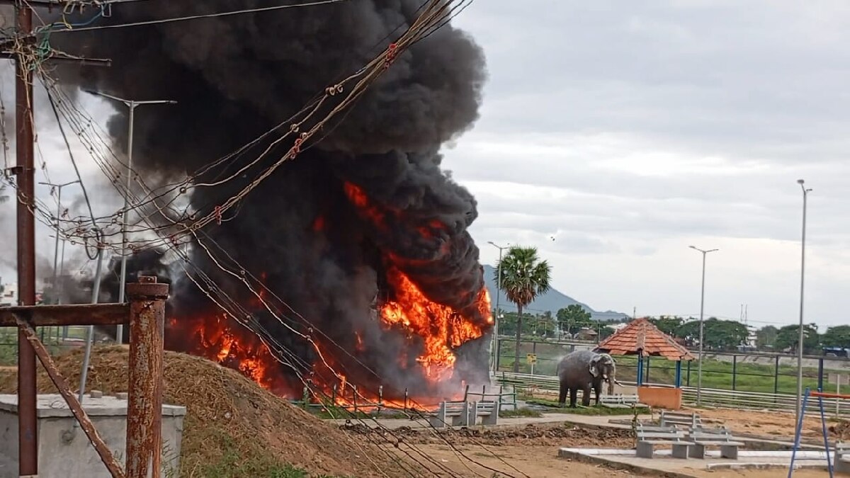 Salem Park Fire Accident: பூங்காவில் ஏற்பட்ட திடீர் தீ விபத்து - அதிர்ஷ்டவசமாக உயிர் தப்பிய சிறுவர்கள்