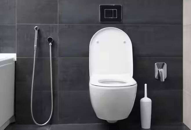 જો તમે દરરોજ બાથરૂમ ધોવો છો અથવા ઘરમાં સાફસફાઇ કરો છો તો લગાવો છો મોપ કરો છો, તો તમે આ RO વેસ્ટ વોટરનો ઉપયોગ કરી શકો છો.