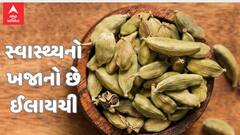 Health Tips: ઈલાયચીના દાણામાં હોય છે ગજબની તાકાત, આ બીમારીઓનો બને છે કાળ