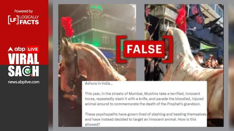 Fact Check Video Falsely Claims 'Injured' Horse Paraded In Mumbai On Muharram Fact Check: Video Falsely Claims 'Injured' Horse Paraded In Mumbai On Muharram