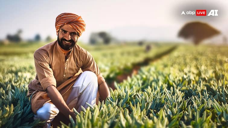 Agriculture Budget 2024 Announcement PM Kisan Credit Card Scheme Know All Details Agriculture Budget 2024: ​बजट में ​किसानों के लिए खुला खजाना, वित्त मंत्री ने पीएम किसान क्रेडिट कार्ड योजना पर किया बड़ा ऐलान